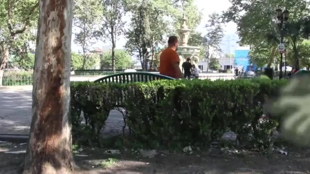植物大战僵尸：僵尸没看见我们