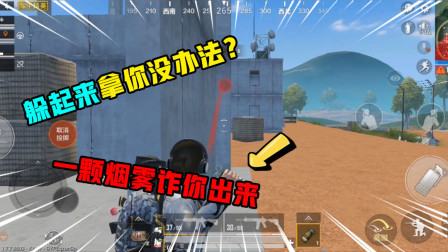 和平精英：躲起来就拿你没办法？一颗烟雾弹诈你出来，太机智了