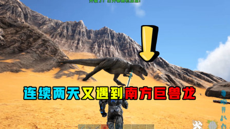 方舟生存进化：连续两天又遇到南方巨兽龙，还是那么的肉那么的难打