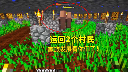 我的世界单人生存49：尝试了各种办法之后，我总算运回了2个村民