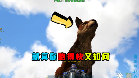 方舟生存进化：就算你跑得快又如何，还不是扛不住我一枪的伤害