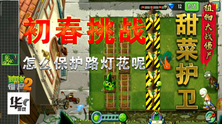 pvz2初春挑战第二组活动（2）路灯花：甜菜护卫快保护我