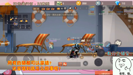 猫和老鼠246：所有的猫都可以穿墙？这穿墙到底怎么回事呢？