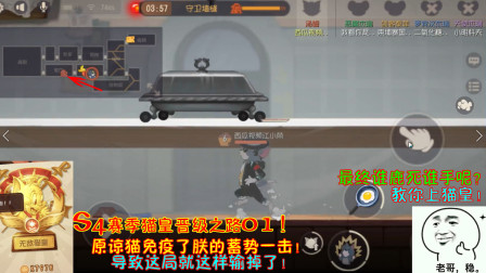 猫和老鼠247：原谅猫免疫了朕的蓄势一击！导致这局就这样输掉了