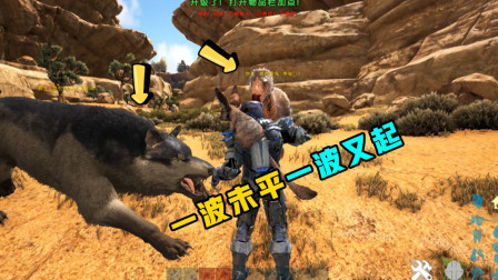 方舟生存进化：你们怎么都过来攻击我，真是一波未平一波又起