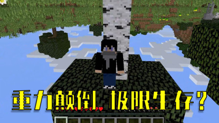 我的世界：在重力方向颠倒的世界该如何生存？玩了3分钟我就吐了