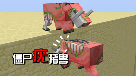 我的世界：陷入魔怔的僵尸疣猪兽？连凋灵都敢打
