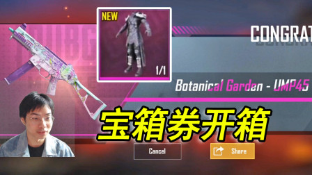 和平精英：国际服用宝箱兑换券开箱，一发出粉植物UMP45皮肤