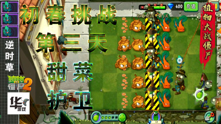 pvz2初春挑战第二组活动（3）甜菜护卫队再次来袭 非常的强大