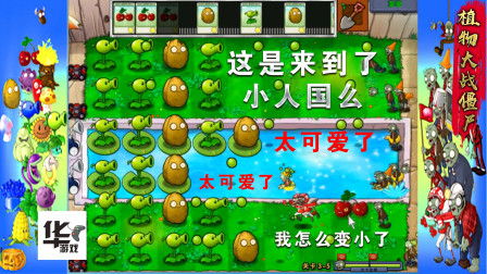 PVZ2010年度版 3-5 这是来到小人国了么 好玩 太可爱了 哈哈
