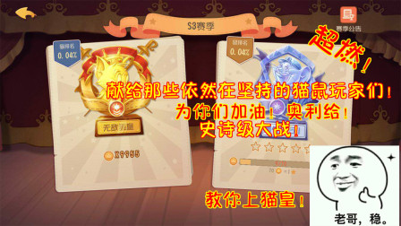 猫和老鼠257：献给那些依然在坚持的猫玩家们！加油！奥利给！！