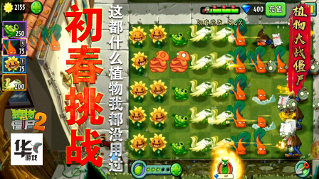 pvz2初春挑战第二组活动（4）甜菜护卫队: 伙伴的强大才是强大