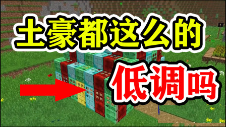 我的世界：MC世界里面的土豪都这么低调吗？我也想低调