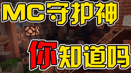 我的世界：MC有默默守护英雄！你有被守护吗？