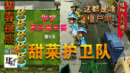 pvz2初春挑战第二组活动（5）保卫双头向日葵: 我已经四阶了 上吧