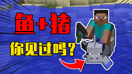 我的世界mod：鱼+猪=水猪！不仅爱吃水藻还游得飞快！