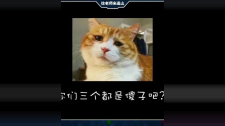 徐老师来巡山：一级去阴人也不看看阵型，有小丑敢去吗？