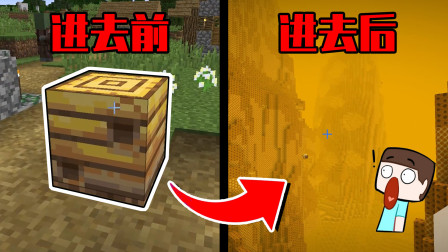 我的世界mod：你见过蜂巢里面的世界吗？用末影珍珠右击就可以进来！