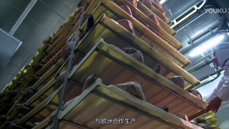 舌尖上的中国：今天的金华火腿已经工厂化制作了，每条火腿都要经过按摩。