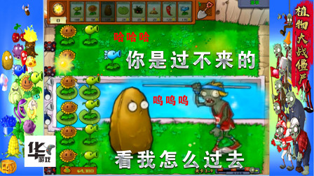 植物大战僵尸（3-9）高坚果：撑杆僵尸看你怎么过
