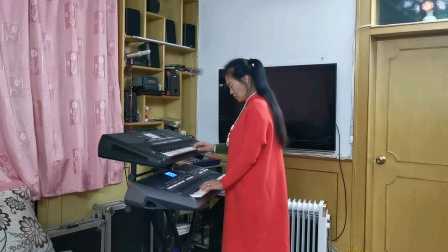 巜一个真实的故事》视频双电子琴演奏