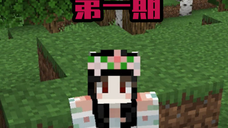 小月生存日记3：建造人生中第一幢属于自己的屋子！真是太满意了！