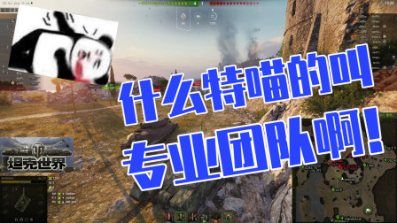 坦克世界：什么特喵的叫做“专业团队”啊？这就是专业的团队