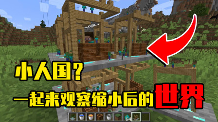 我的世界mod：你见过MC的小人国吗？我们还可以住在里面！