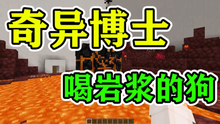 我的世界：奇异博士带你看喝岩浆和拿岩浆泡澡的动物！