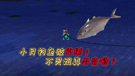 小月不灵姐服务器生存10：小月钓鱼被背刺！不灵姐真开光嘴？