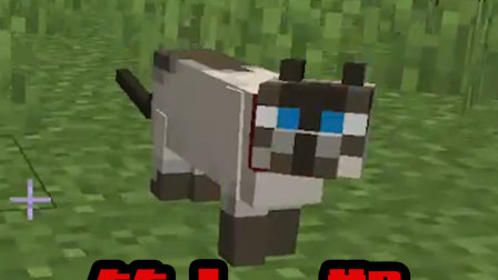 小月生存日记11：只要在野外见到这种生物，苦力怕就会落荒而逃？