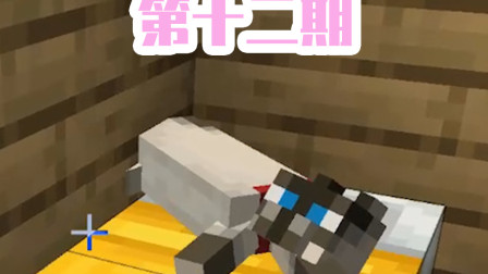 小月生存日记12：床被我家主子给占领了？有史以来最卑微的一天！