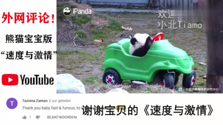 老外看中国：熊猫版“速度与激情”，火到国外，油管网友一级方程式熊猫冠军