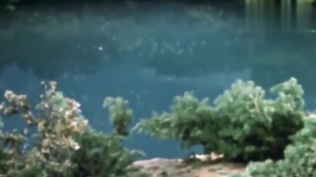 终极奥特曼战斗：胜利队的队友受伤晕了三天，奥特曼把他带回了地球