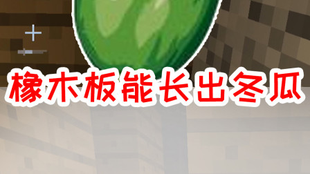 我的世界拔刀剑生存17：橡木板竟能长出冬瓜？矿洞历险刷新我三观