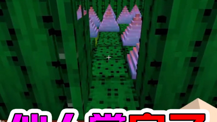 我的世界：仙人掌房子？太扎人了，这谁住得下去啊.