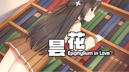 昙花 Galgame恋爱游戏03 以明信片的方式交流