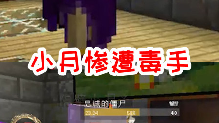 我的世界拔刀剑28：小月惨遭毒手！谁有这种胆量敢击杀小月？