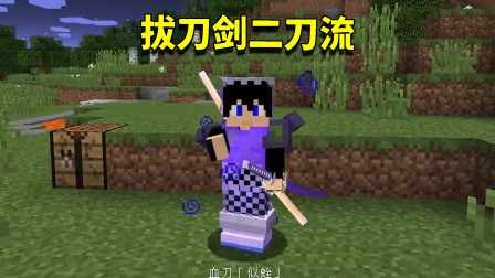 我的世界拔刀剑65：拔刀剑双刀流？同时使用两把拔刀剑是什么感觉