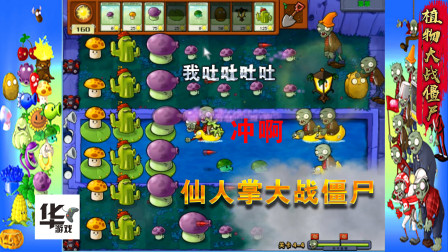 pvz：仙人掌大战僵尸 谁厉害呢 嘻嘻 让们快乐的玩耍吧