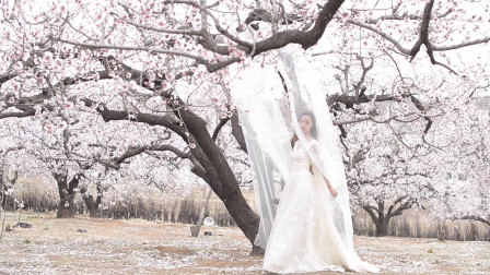 四月杏花林拍摄，美人美景，画面真是太美好了~