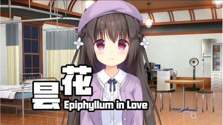 昙花 Galgame恋爱游戏05 这么可爱你不喜欢嘛！