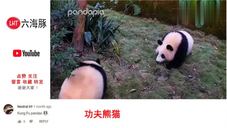 老外看中国 熊猫“忍者”萌翻YouTube各国网友 评论：功夫熊猫！