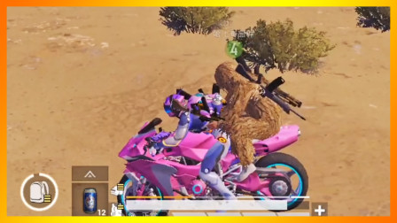 和平精英：单人大战四排敌人10杀，穿沙漠吉利服进最小决赛圈