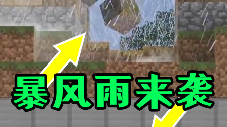 我的世界：村庄引来超大暴风雨，高手和阿呆躲进地下