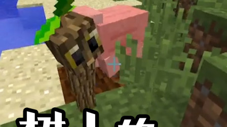 我的世界：树人的成长史，为什么越长大越丑了？