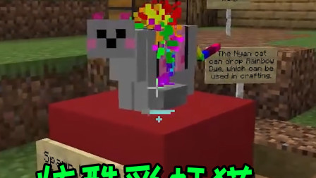 我的世界：超炫酷彩虹猫！一路火花带彩虹