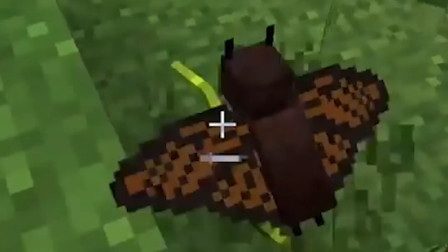 MC里居然还有毒蛇！被它咬了走不出五步