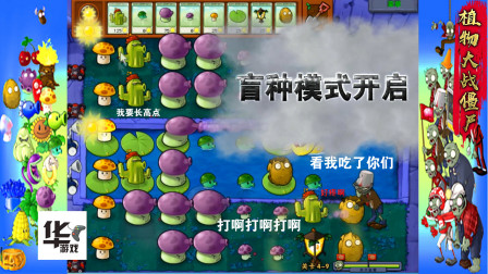 盲种模式：4-9不用路灯草什么效果？
