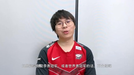 专访JDG冠军辅助fmvp绿毛：提起以前每一年的队友
